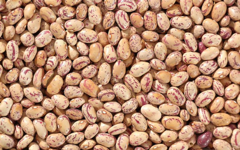 Canned Beans vs Dried Beans: Which Actually Wins on Taste, Nutrition, and Real Cooking Convenience